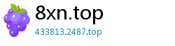 8xn.top
